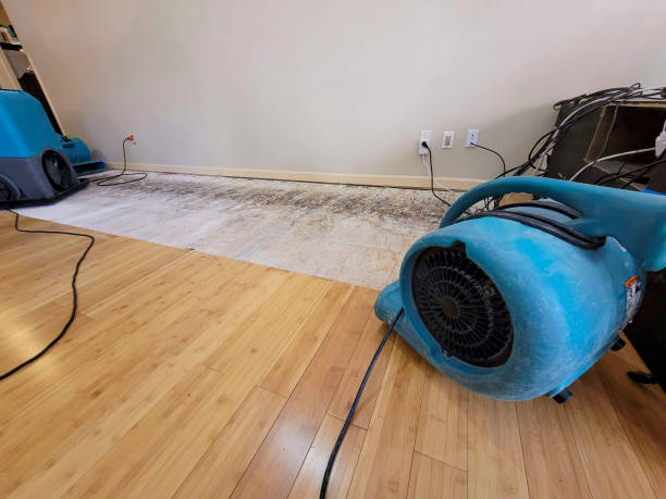 Professional Emergency Water Damage technician working in Southwick, MA